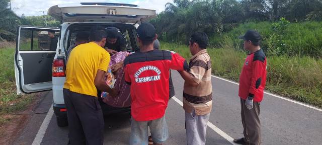 Begini Kronologi Laka Tunggal Truk Muatan Pupuk Berita Sampit