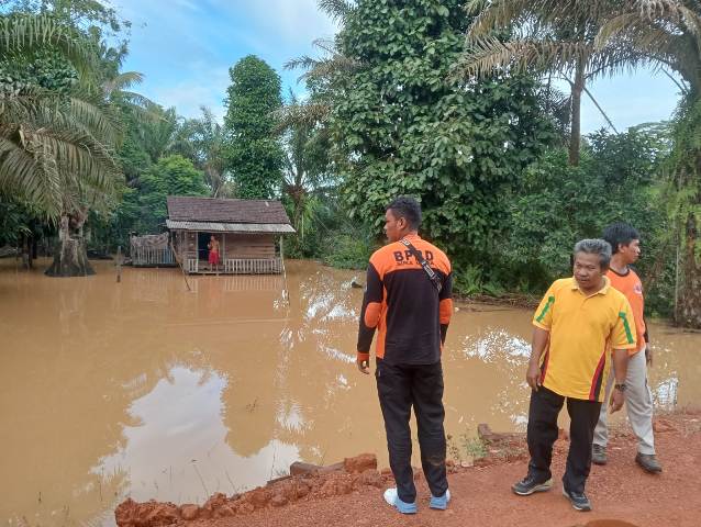 Sungai Mapam Meluap, Desa Nibung Terjun di Sukamara Terendam Banjir