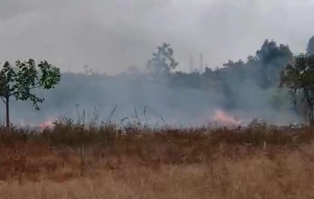 Kebakaran di Antang Barat Diduga Sengaja Dibakar Pemilik Lahan