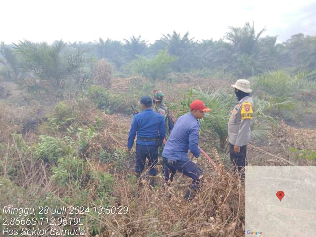 Karhutla Terjadi di Samuda Kota, Hanguskan 2,5 Hektare Lahan